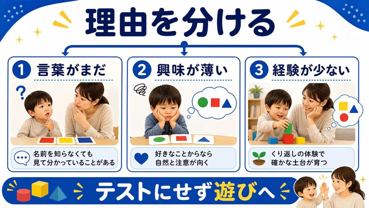 色や形を覚えない理由を言葉、興味、経験に分ける図