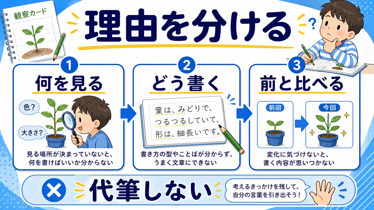 観察、言葉、絵、比較のつまずきを分ける図
