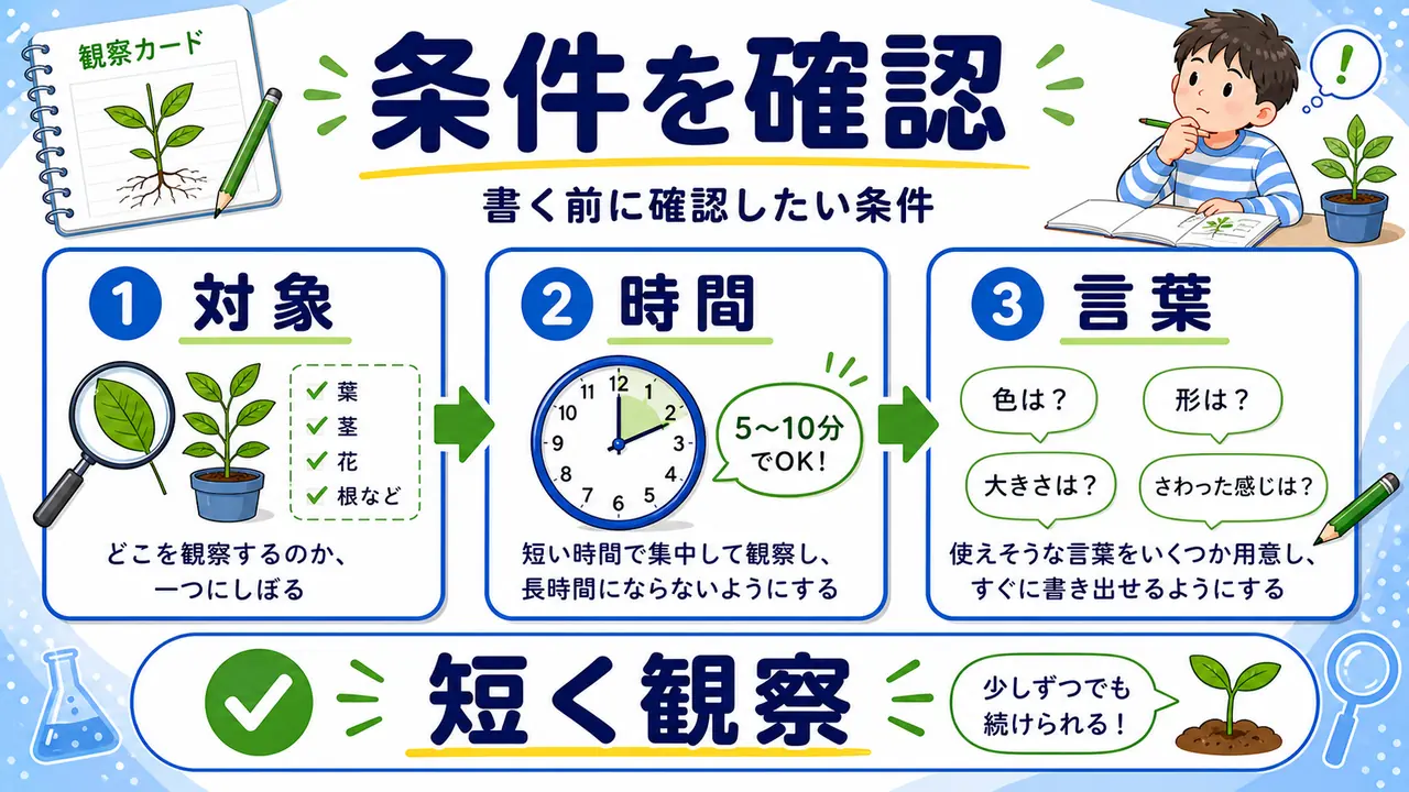 観察対象、時間、見本、語彙を確認する図