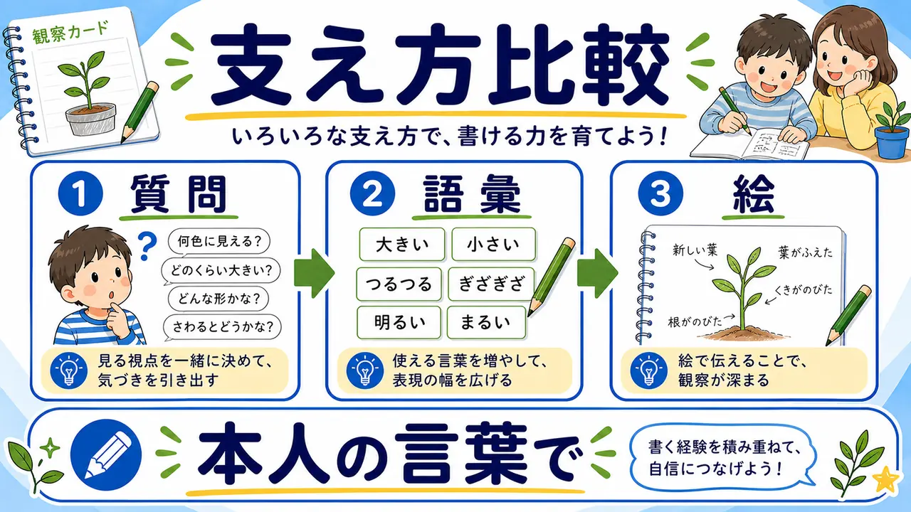 質問、語彙カード、絵、比べる方法を比較する図