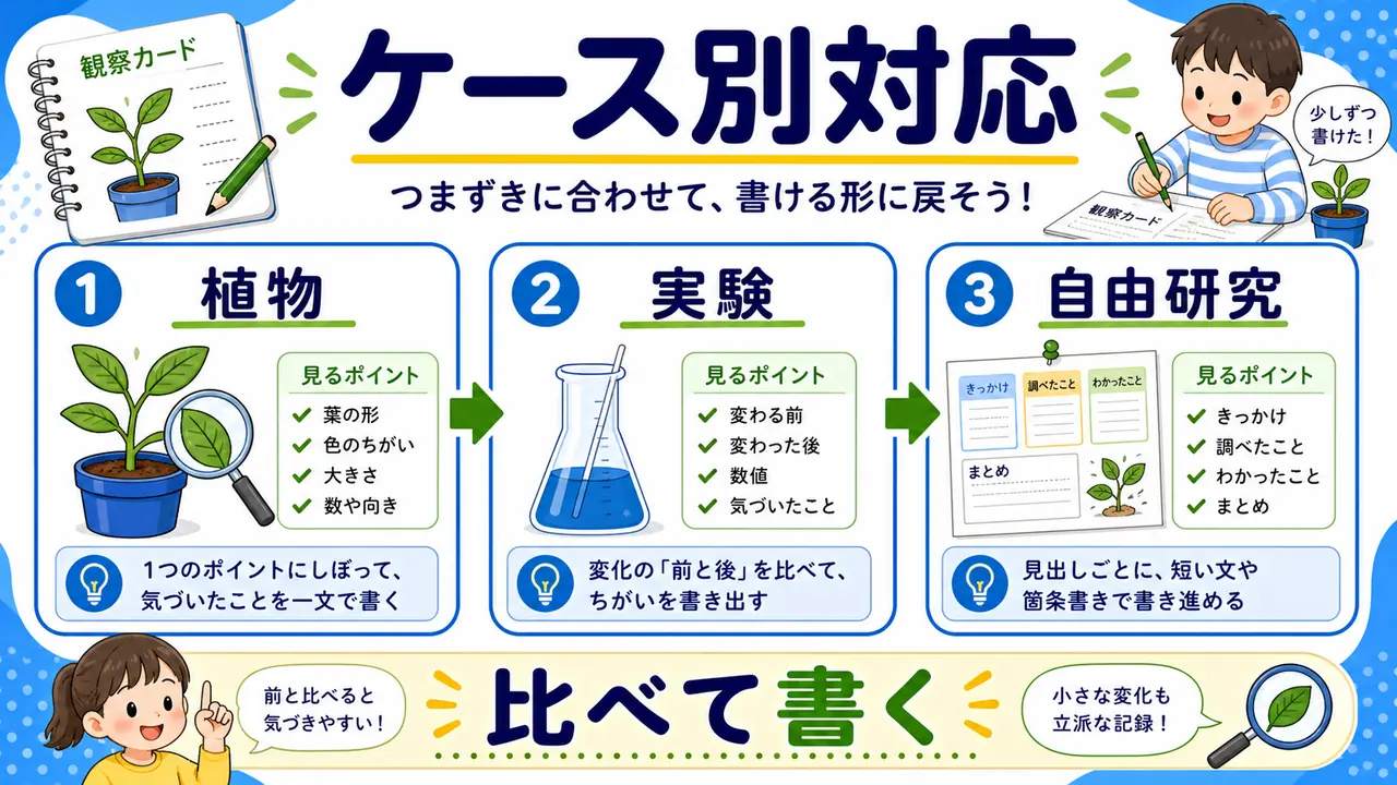 植物、昆虫、実験、自由研究のケース図
