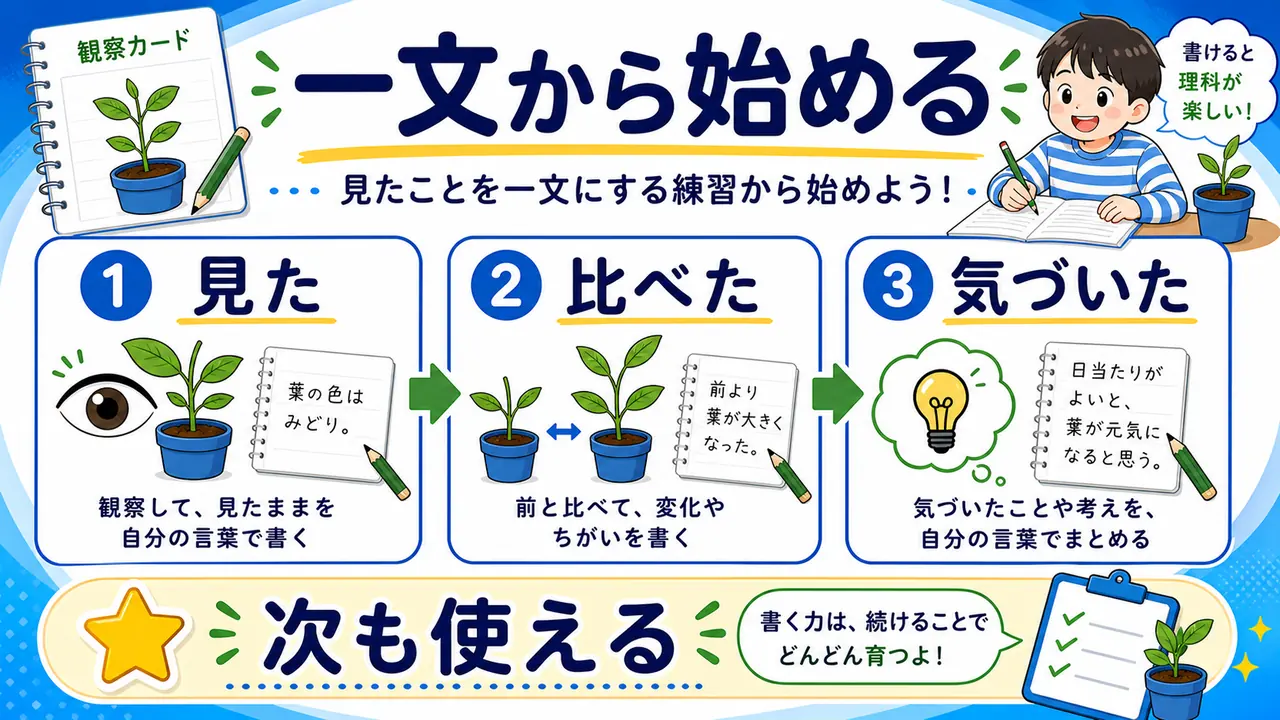 観察カードを一文から続けるまとめ図